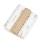 T-TOMI TETRA pleny HIGH QUALITY Plants